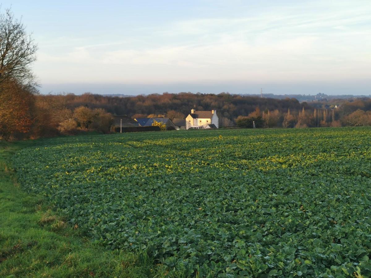 Les Gites De L'Hermine Plouigneau Exteriör bild